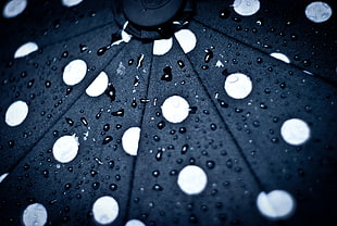 photo of water drops on black surface